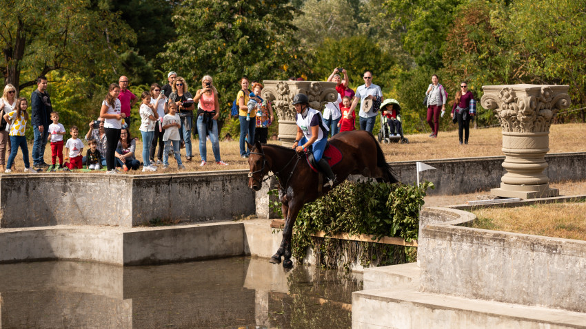 Karpatia Horse Show 2023: cea de-a opta ediție, calificativ pentru Jocurile Olimpice de la Paris. Probe ecvestre pline de adrenalină și spectacole cu muzică live