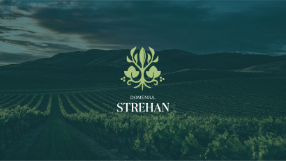 [Case Study] Brandfusion &ndash; Domeniul Strehan, brandingul unui concept unic de turism viticol &icirc;n regiunea Dealu Mare