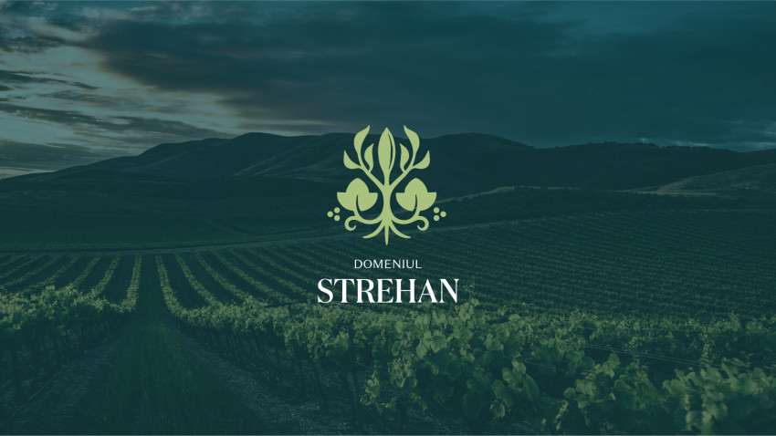 [Case Study] Brandfusion – Domeniul Strehan, brandingul unui concept unic de turism viticol în regiunea Dealu Mare