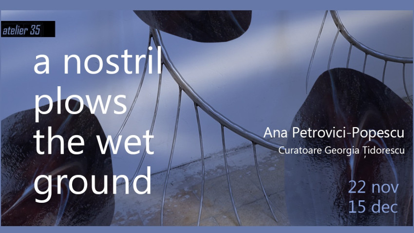 Expoziția ”A Nostril Plows The Wet Ground” a artistei Ana Petrovici-Popescu se deschide pe 22 noiembrie la Atelier 35