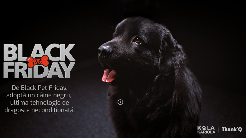 Black Pet Friday: o inițiativă de adopție care prezintă câinii negri din adăposturi ca ultima tehnologie de dragoste necondiționată