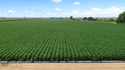 PepsiCo anunță proiecte de accelerare &icirc;n domeniul agriculturii pentru a sprijini modul de trai al fermierilor, pentru a extinde gradul de inovare sustenabilă și pentru a accelera agricultura regenerativă pe tot globul