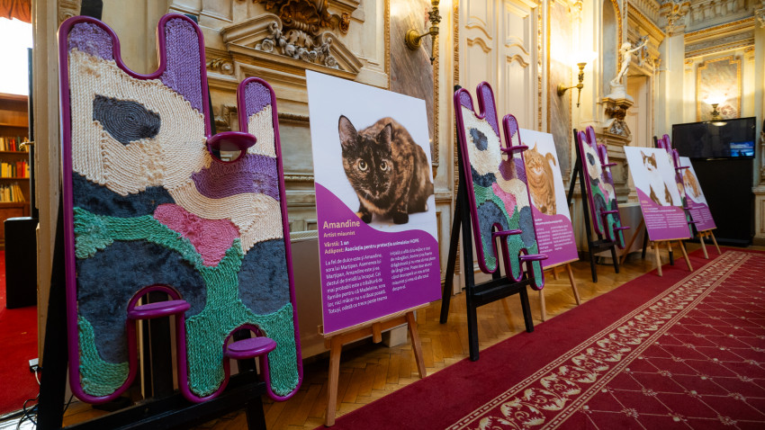 Miaunismul: un nou curent în artă inspirat de creativitatea pisicilor