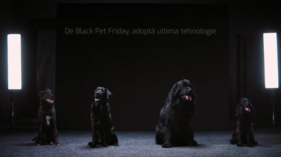 Kola Kariola - Black Pet Friday
