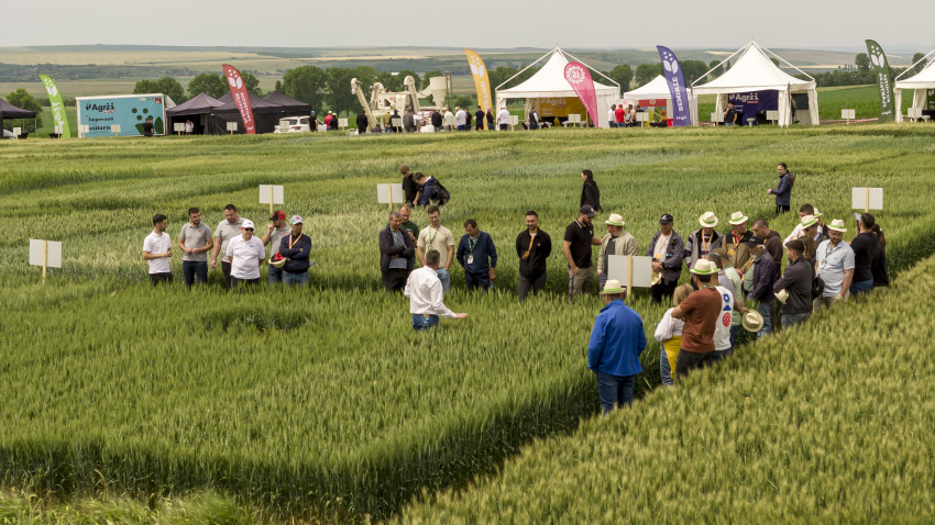 Experiența întâlnește inovația la Agrii Practic, o campanie experiențială marca Agrii România x MullenLowe România  