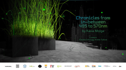 Chronicles from In-Between 495-570 nm - o cronică a lumii naturale evanescente la granița dintre artă, știință și memorie personală