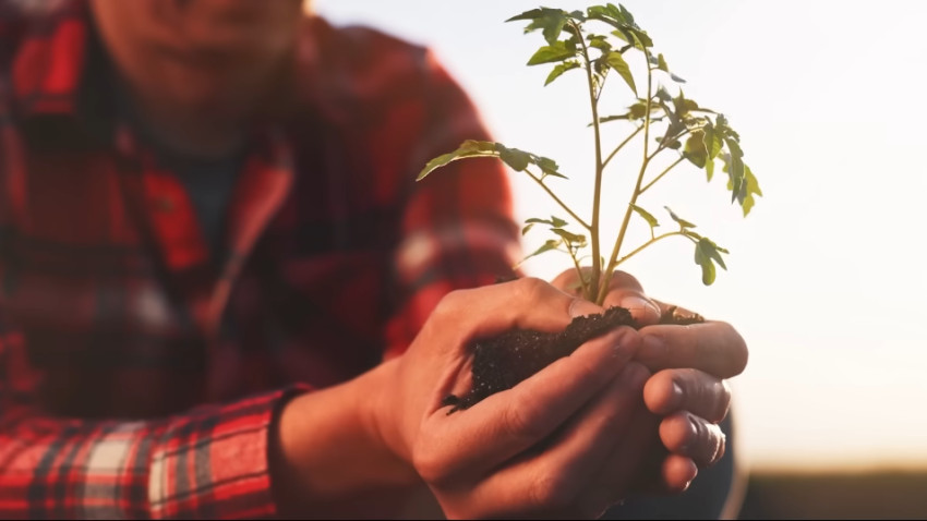 Sustenabilitate cu bun gust: Iată de ce produsele biodinamice fac diferența