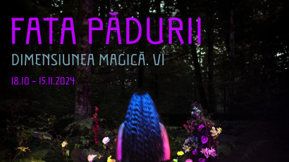 Fata Pădurii. Dimensiunea magică. V1