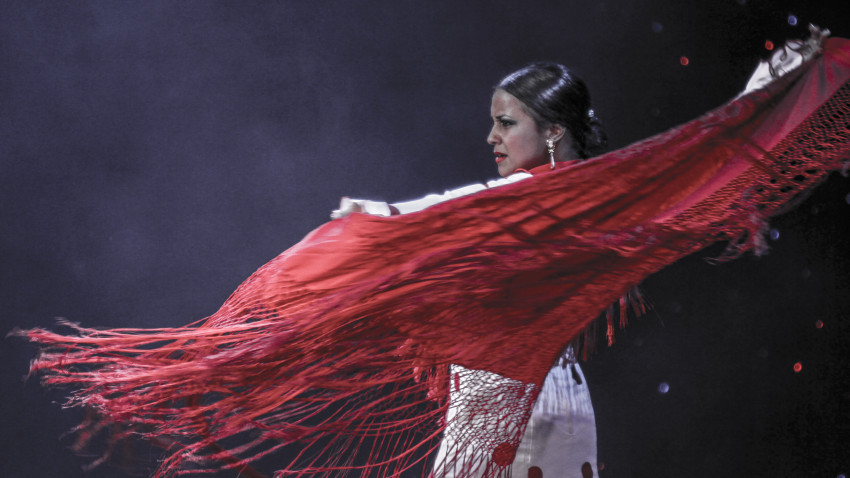 FITS 2025 transformă din nou Sibiul într-o scenă imensă: spectacole impresionante, instalații remarcabile și sute de artiști stradali din toată lumea