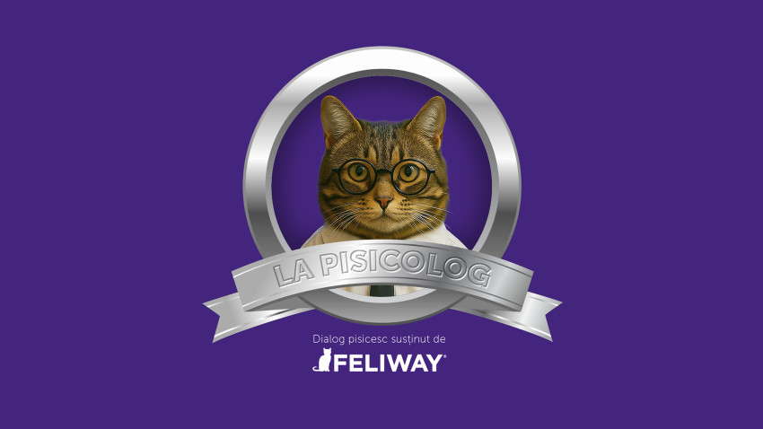 Dare Digital semnează campania „La Pisicolog”, pentru Ceva Sante Animale, companie cu o experiență de 20 ani pe piața produselor farmaceutice veterinare din România