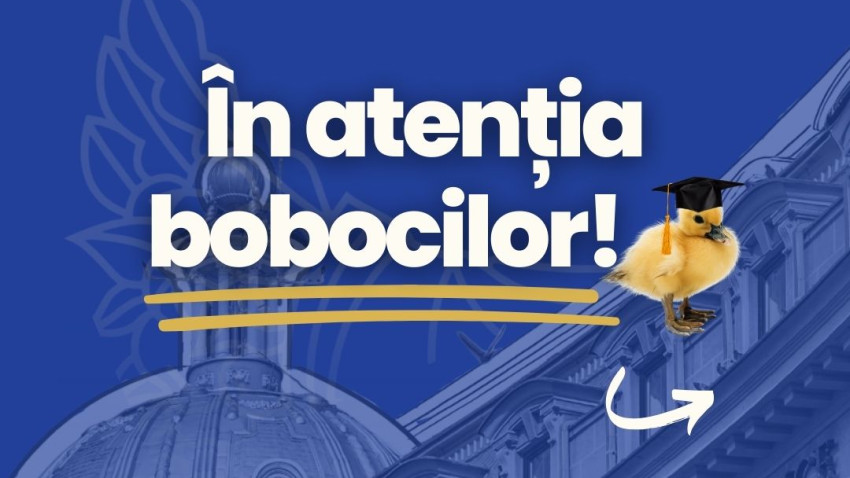 Buyer sau Gifter? Cum câștigi sezonul de vârf