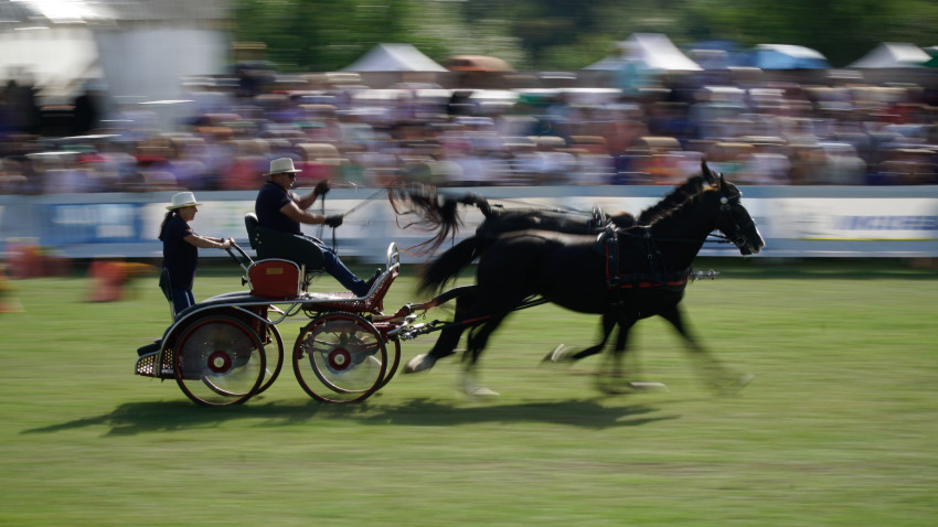 Karpatia Horse Show 2025, un deceniu de echitație pe Domeniul Cantacuzino Florești din Prahova.  Trei zile de spectacol ecvestru, concerte live și experiențe vibrante în aer liber