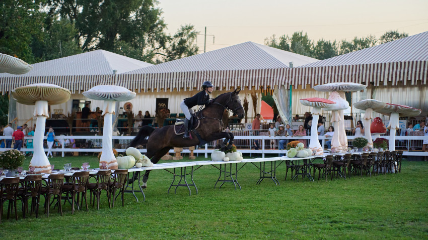 Karpatia Horse Show 2025 – un eveniment al eleganței, sportului, adrenalinei și spectacolului ecvestru