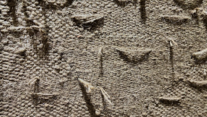 Despre introspecție, transformare și dezrădăcinare, &icirc;n noiembrie &icirc;n spațiile Celulei de Artă