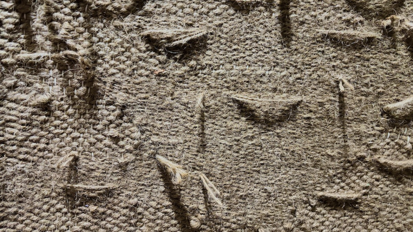 Despre introspecție, transformare și dezrădăcinare, în noiembrie în spațiile Celulei de Artă