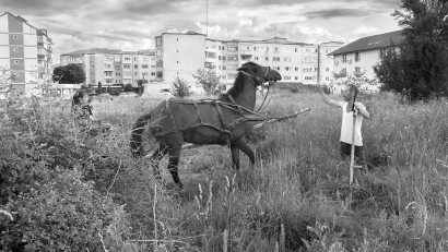 Cei mai buni artiști vizuali ai anului, desemnați la Romanian Visual Awards 2025