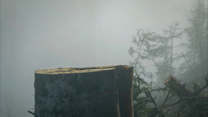 &bdquo;După Cioate&rdquo;: documentarul despre un atac nerezolvat și tăcerea unui sistem, din 28 noiembrie &icirc;n cinematografe