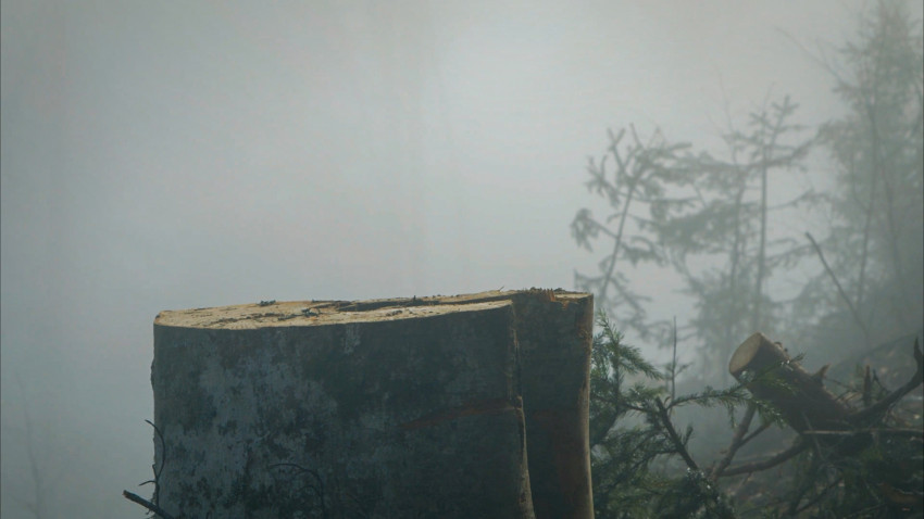 „După Cioate”: documentarul despre un atac nerezolvat și tăcerea unui sistem, din 28 noiembrie în cinematografe