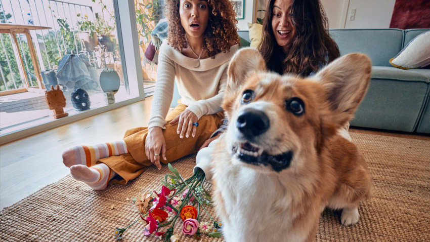 Un nou studiu realizat de Grupul LEGO®, lansat cu ocazia Valentine’s Day, arată că florile rămân cadoul cu risc minim și impact maxim