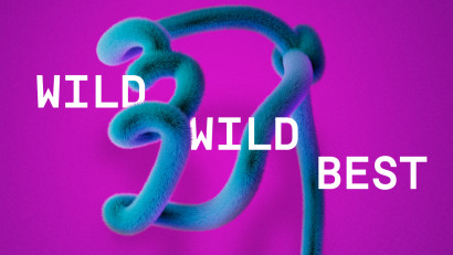 Golden Drum 2026: &icirc;nscrierile sunt deschise