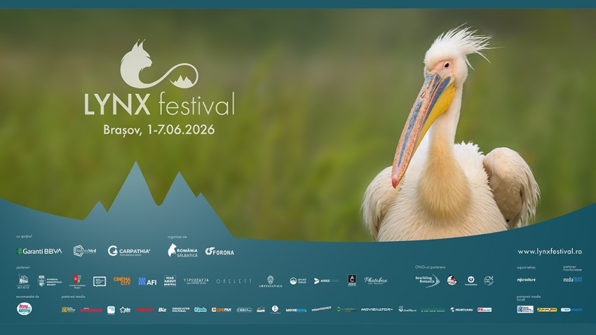 Natura este vedetă de cinema la a patra ediție LYNX Festival:  Brașov 1-7 iunie
