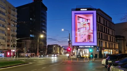 Milka - Azi surprinde-i pe cei dragi, ascunzand un iepuras