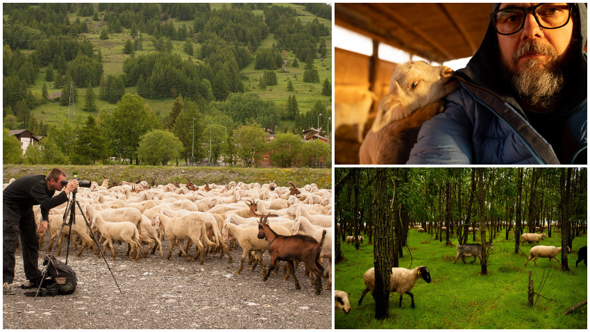 Dragoș Lumpan: Am fost primit într-o lume de extratereștri prietenoși. Care mi-au dat să mănânc brânză bună!