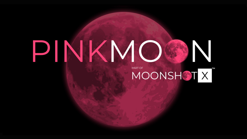 Printco - Editura Gama este câștigătoarea programului PinkMoon, dezvoltat de Raiffeisen Bank și InnovX