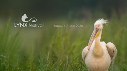 LYNX festival prezintă din 1 iunie: zece filme documentare, cinci expoziții, trei masterclass-uri, cinci ateliere pentru copii și multe discuții despre natură