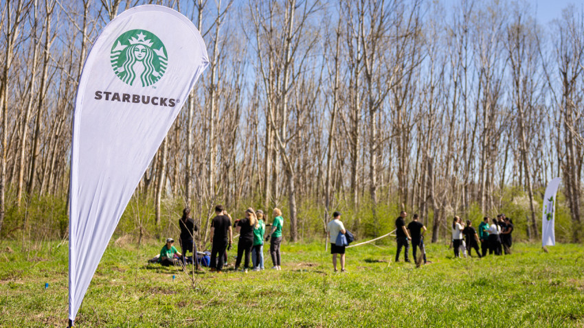 Starbucks România continuă parteneriatul cu Plantăm Fapte Bune prin noi acțiuni de împădurire
