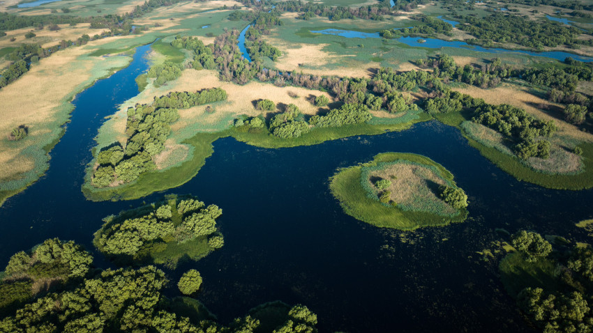 „Delta Sălbatică”, primul documentar românesc de amploare dedicat Deltei Dunării, prezentat în premieră în cadrul LYNX FESTIVAL