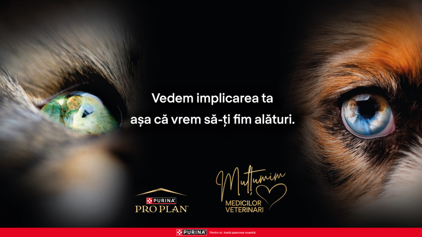Mercury360 & Mantia semnează „Thank You Vets” pentru Purina PRO PLAN®