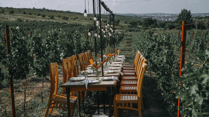 Gramma Wines investește aproximativ un milion de euro și transformă crama din Iași într-o destinație pentru experiențe premium, enoturism și evenimente