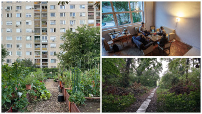 "Grădina mi-a oferit prima dovadă concretă că există și altă ordine dec&acirc;t cea bazată pe putere și ierarhii, o ordine care ține de legile dragostei, respectului, responsabilității"