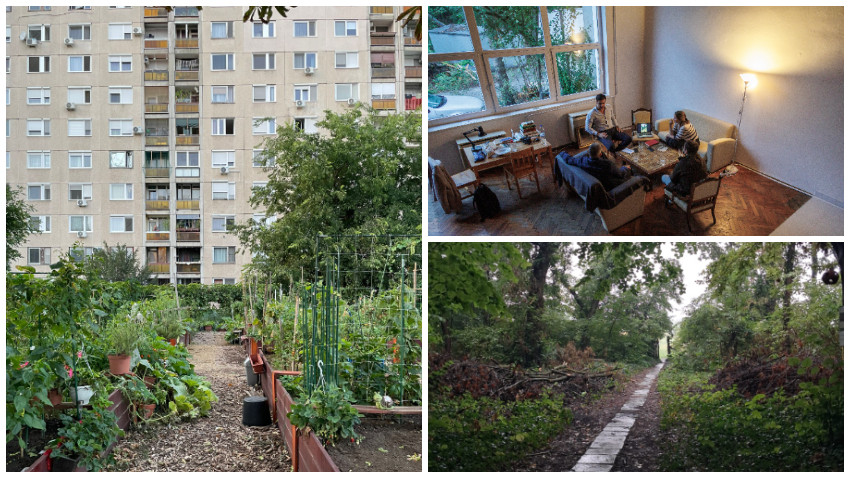 "Grădina mi-a oferit prima dovadă concretă că există și altă ordine decât cea bazată pe putere și ierarhii, o ordine care ține de legile dragostei, respectului, responsabilității"