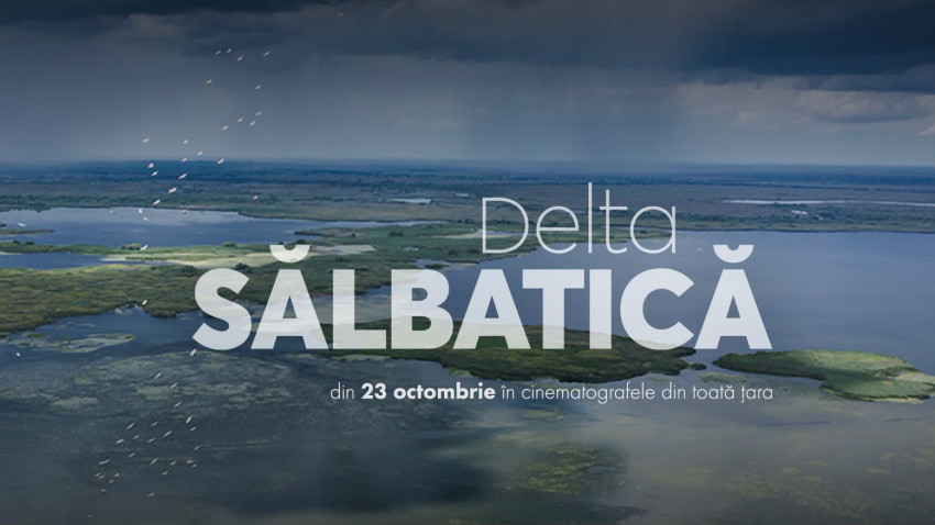 Echipa documentarului „Delta Sălbatică” susține proiectele de reconstrucție ecologică și renaturare derulate de organizațiile de mediu