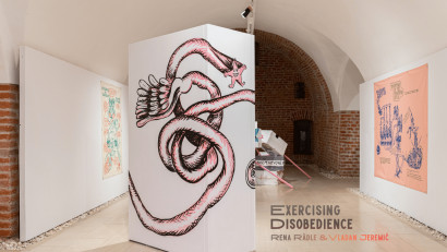 Arta ca instrument de nesupunere: „Exercising Disobedience” se încheie vineri la Indecis artist run