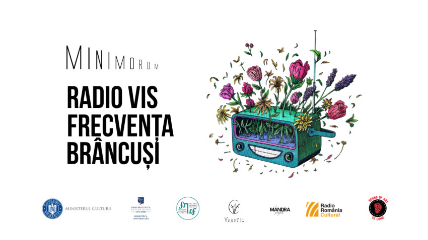 Radio Vis. Brâncuși - când imaginarul copiilor din mediul rural devine voce