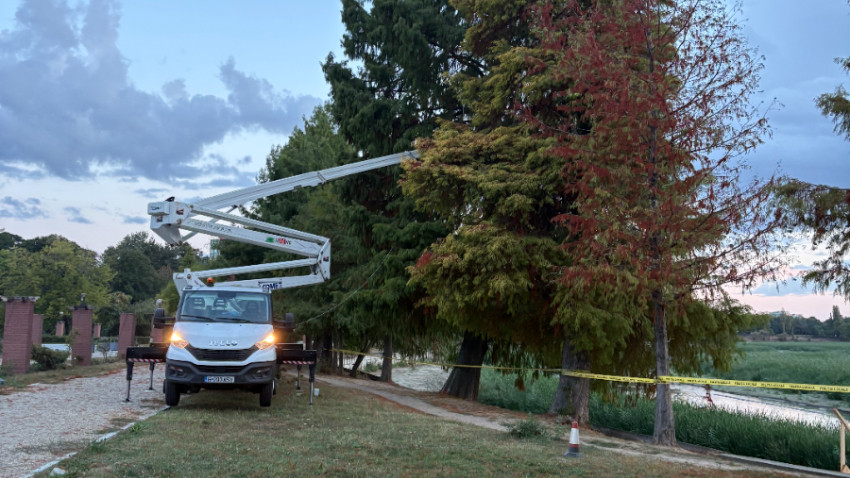 1.844 de arbori din jurul Lacului Herăstrău au fost evaluați de specialiști. Analiza stă la baza adaptării soluției de consolidare a malurilor pentru a salva arborii sănătoși. Informațiile despre fiecare arbore devin accesibile publicului